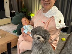 -天鹅到家·保姆月嫂育儿嫂(朝阳店)