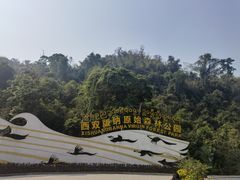 -西双版纳原始森林公园