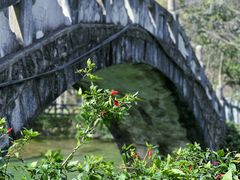 -靖西鹅泉风景区