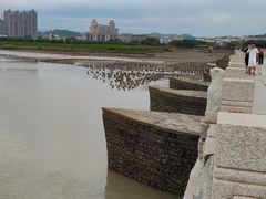 -洛阳桥