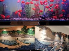 -常州武进九洲喜来登酒店