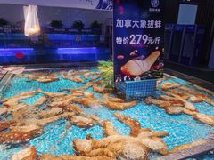 水产区-驻海渔市(置信店)