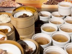 -裕龙汤泉