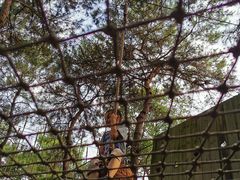 -芦仙山景区-飞越丛林探险乐园