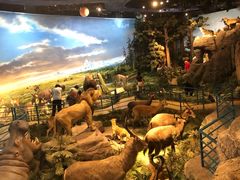 -陕西自然博物馆