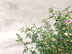 -十一咖啡(青年大街工厂店)