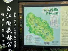 -广州白江湖森林公园