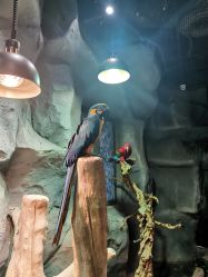 -Zoolung Zoolung动物主题公园(海信广场店)