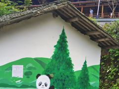 -龙苍沟森林公园