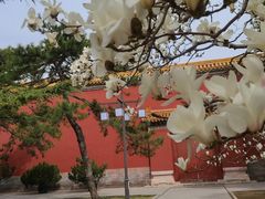 -北京市劳动人民文化宫(太庙)