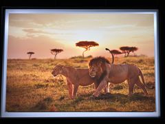 -罗红摄影艺术馆