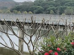 -东莞植物园