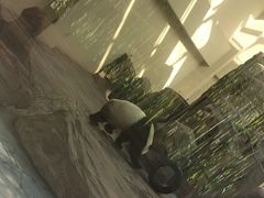-宁波野生动物园