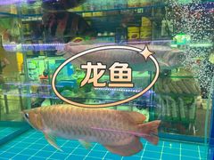 -双季花艺园艺市场(浦东店)