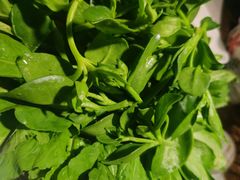 -慢丽江·云南野生菌土鸡锅(西山店)