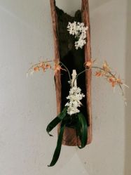 -香秀空间科技抗衰·美容中心