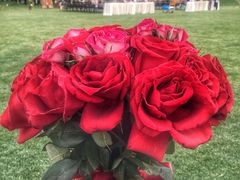 -桃园农庄·桃源宴