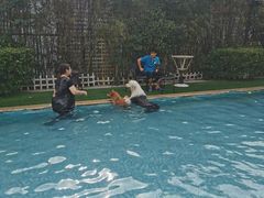 -汪说喵讲宠物乐园宠物酒店(红星美凯龙店)