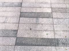 -格兰西点(淘金店)