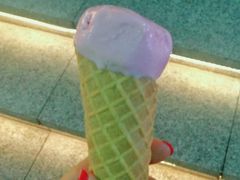 -成裕雪糕店(士多店)