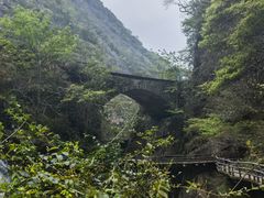 -大鄣山卧龙谷景区