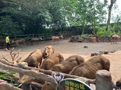 -海南热带野生动植物园