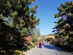 -北京植物园南门售票处