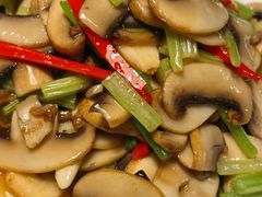 口菇小芹菜-3号仓库(幸福北路店)