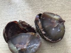 -陈记栗子(长宁路店)