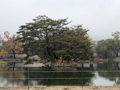 -景福宫