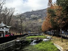 -白水寺森林公园