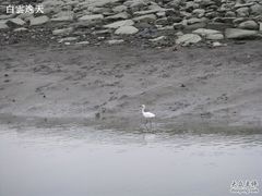 -淡水老街