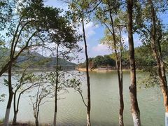 -凤岗南门山森林公园