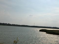 -梁子湖东篱老屋生态庄园