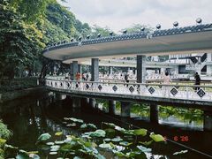 -荔湾湖公园