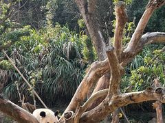 -宁波野生动物园
