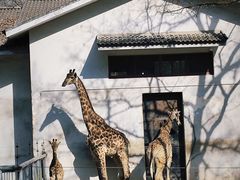 -杭州动物园