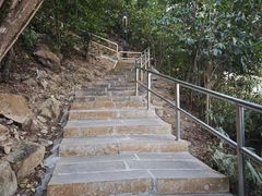 -野狸岛