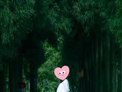 -武陵山森林公园
