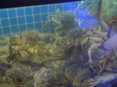 -福禧荟·海鲜自助