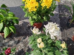 -香炉礁家具市场