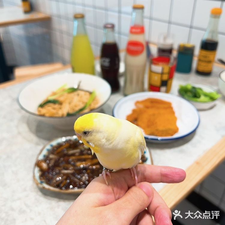 ✨炸猪排界顶流  老上海浇头面咪道哈嗲