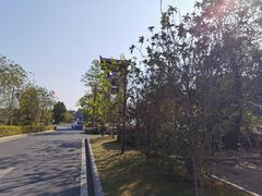 -清远熹乐谷温泉度假酒店