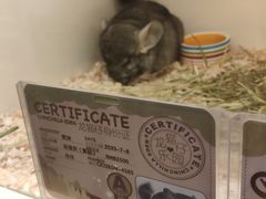 -龙猫仔乐园(惠福东路店)