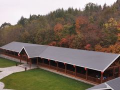-云岭野山参风景区