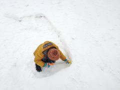 -绿野森林乐园冰雪季