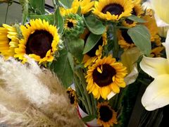 -呷哺呷哺(松江开元店)