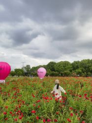 -BabyA 专业婴童摄影(古北时尚广场店)