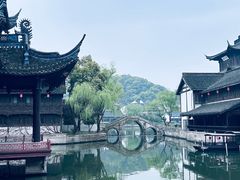 -鲁镇