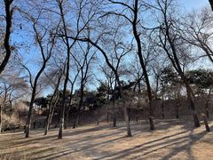 -元大都城垣遗址公园